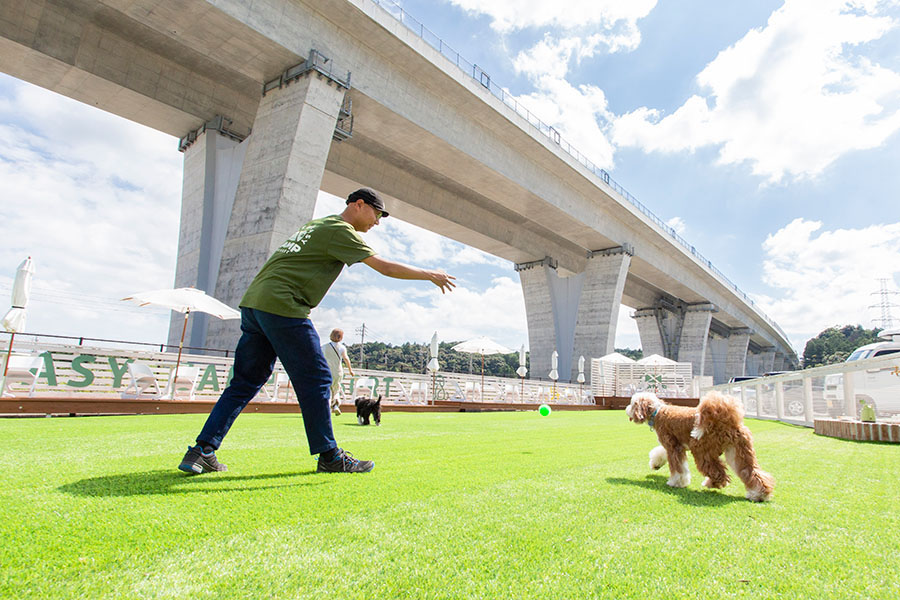 【三重】フリーアンドイージーの天然芝のドッグランで遊ぶ飼い主と犬
            