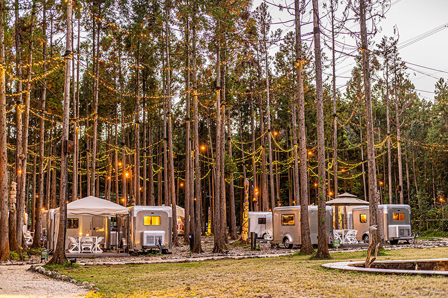 【三重】フリーアンドイージーのイルミネーションが輝く外観