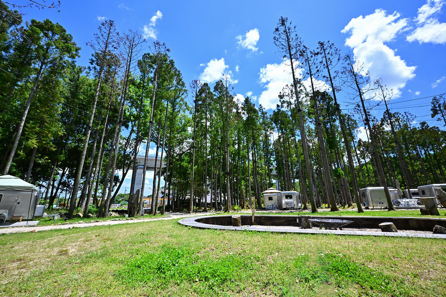 フリーアンドイージーの緑豊かな外観