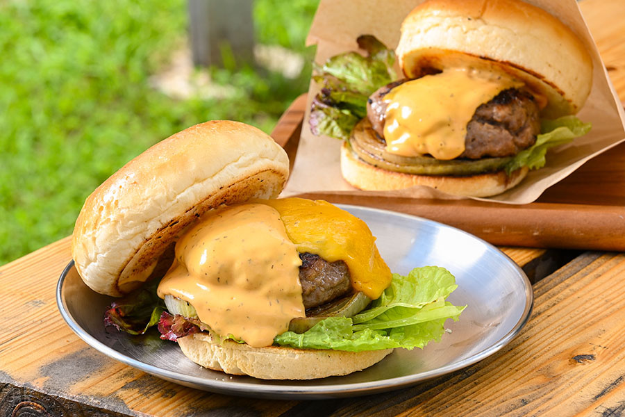 【4月限定】学割や飲み放題付プランなどお得なキャンペーン実施中🐕